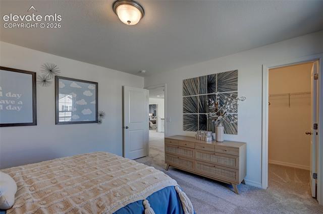 MLS Image for 7811  Moore  ,Colorado Springs, Colorado