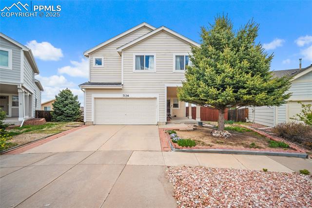 7136  Purple Thistle  , colorado springs  House Search MLS Picture