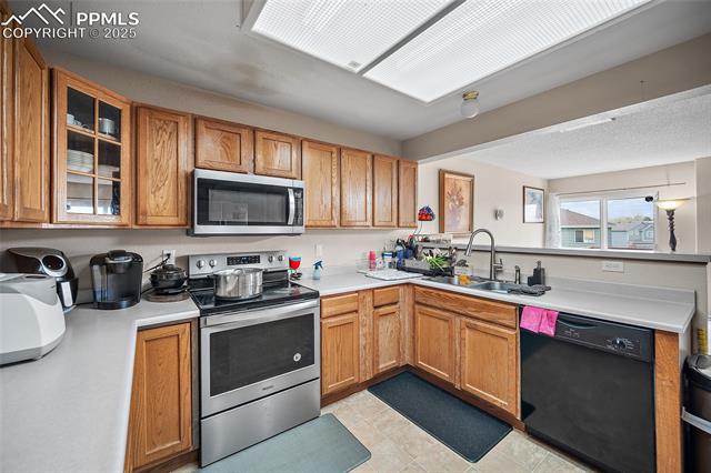 MLS Image for 7136  Purple Thistle  ,Colorado Springs, Colorado