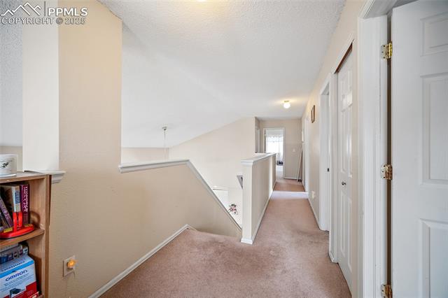 MLS Image for 7136  Purple Thistle  ,Colorado Springs, Colorado