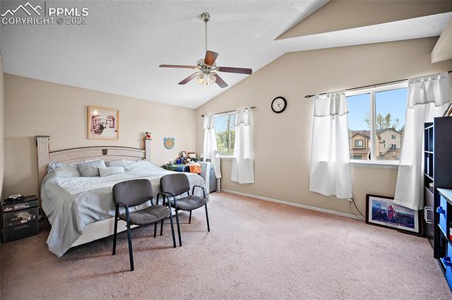 MLS Image for 7136  Purple Thistle  ,Colorado Springs, Colorado