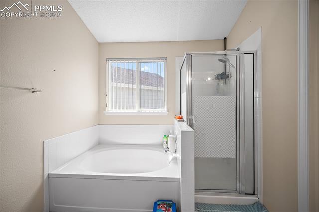 MLS Image for 7136  Purple Thistle  ,Colorado Springs, Colorado