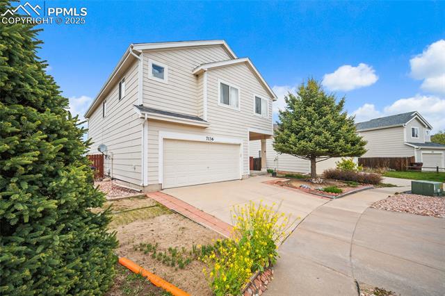 MLS Image for 7136  Purple Thistle  ,Colorado Springs, Colorado