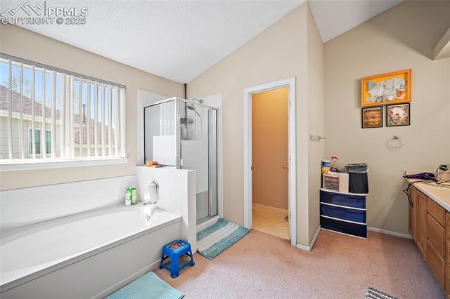 MLS Image for 7136  Purple Thistle  ,Colorado Springs, Colorado