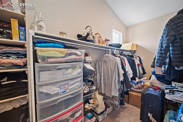 MLS Image for 7136  Purple Thistle  ,Colorado Springs, Colorado