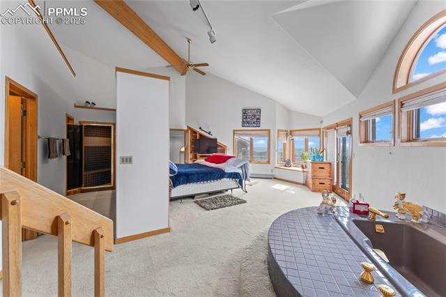 MLS Image for 3170  Angel  ,Colorado Springs, Colorado