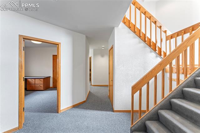 MLS Image for 3170  Angel  ,Colorado Springs, Colorado