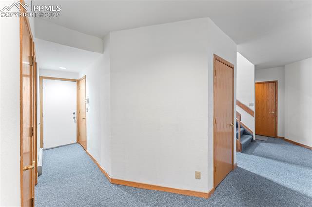 MLS Image for 3170  Angel  ,Colorado Springs, Colorado