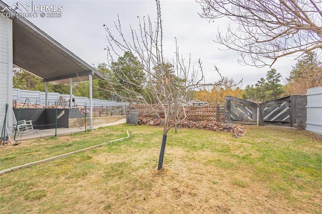 MLS Image for 6515  Burgess  ,Colorado Springs, Colorado