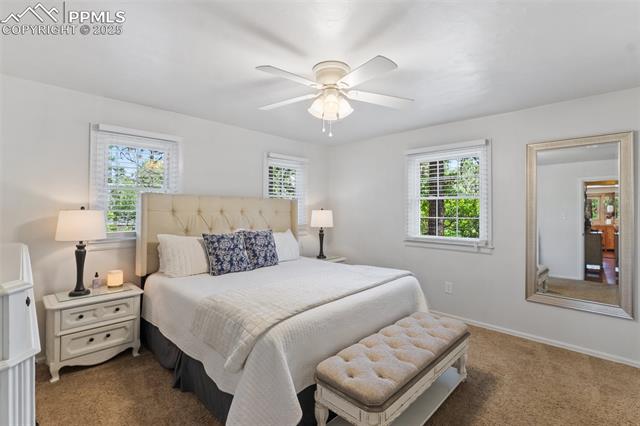 MLS Image for 1260  Timber Valley  ,Colorado Springs, Colorado