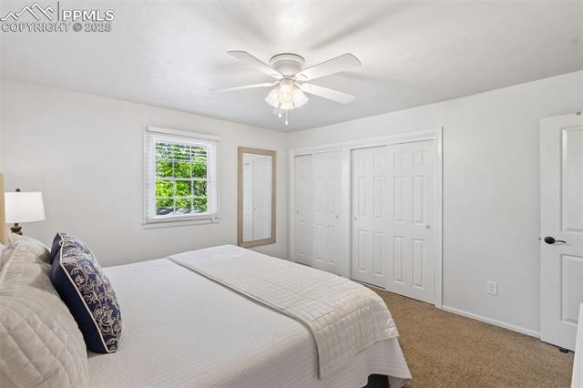 MLS Image for 1260  Timber Valley  ,Colorado Springs, Colorado