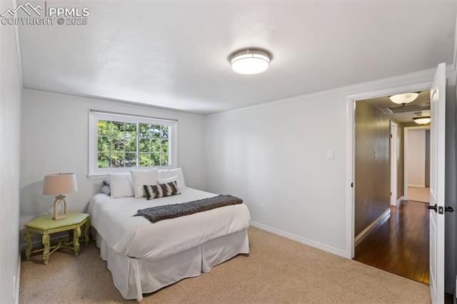 MLS Image for 1260  Timber Valley  ,Colorado Springs, Colorado
