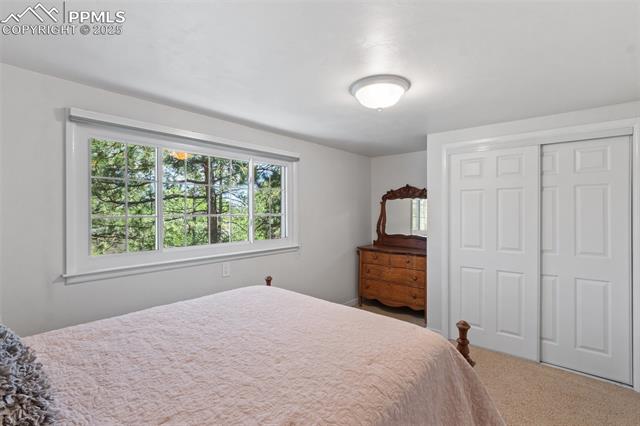 MLS Image for 1260  Timber Valley  ,Colorado Springs, Colorado