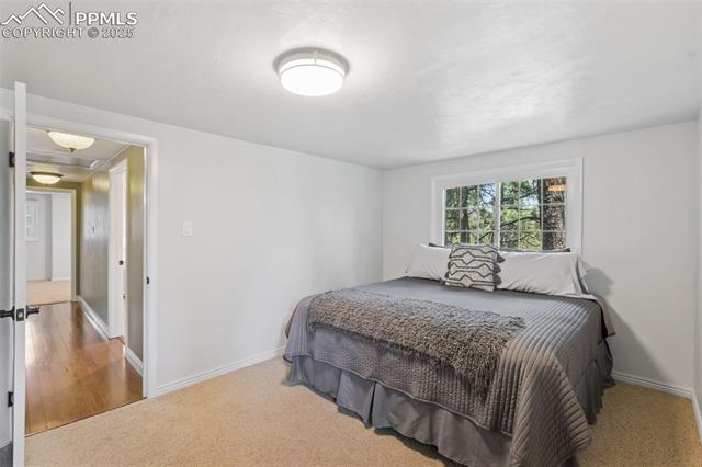MLS Image for 1260  Timber Valley  ,Colorado Springs, Colorado