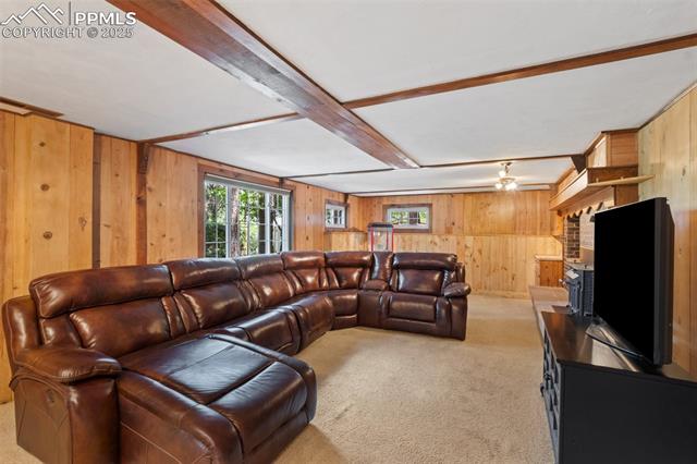 MLS Image for 1260  Timber Valley  ,Colorado Springs, Colorado