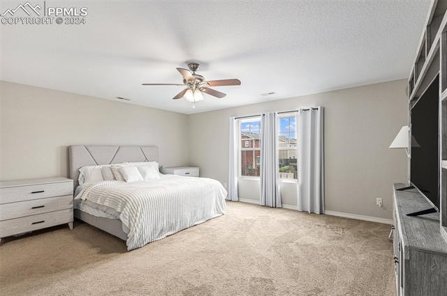 MLS Image for 3788  Chia  ,Colorado Springs, Colorado