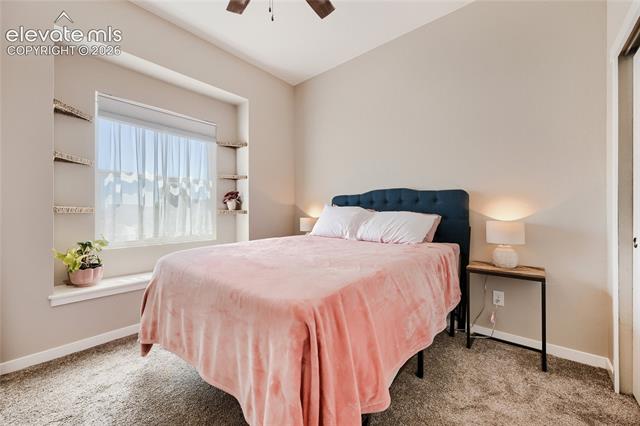 MLS Image for 2832  Pony Club  ,Colorado Springs, Colorado