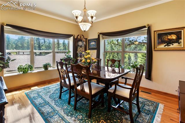 MLS Image for 1530  Masters  ,Woodland Park, Colorado