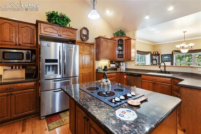 MLS Image for 1530  Masters  ,Woodland Park, Colorado