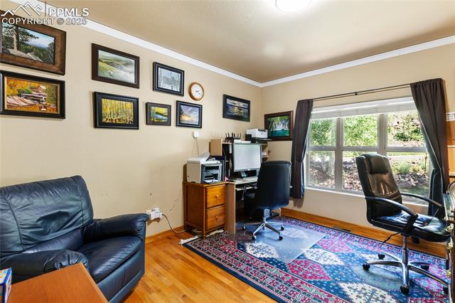 MLS Image for 1530  Masters  ,Woodland Park, Colorado