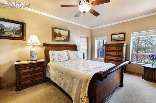 MLS Image for 1530  Masters  ,Woodland Park, Colorado