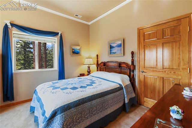 MLS Image for 1530  Masters  ,Woodland Park, Colorado