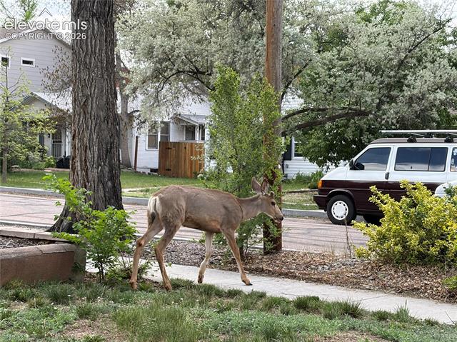 MLS Image for 223  Custer  ,Colorado Springs, Colorado