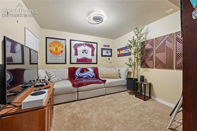 MLS Image for 6776  Silver Star  ,Colorado Springs, Colorado