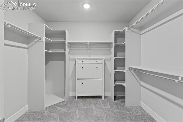MLS Image for 15777  Little Bluestem  ,Monument, Colorado