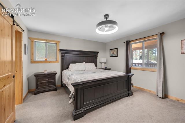 MLS Image for 897  Fossil Creek  ,Florissant, Colorado