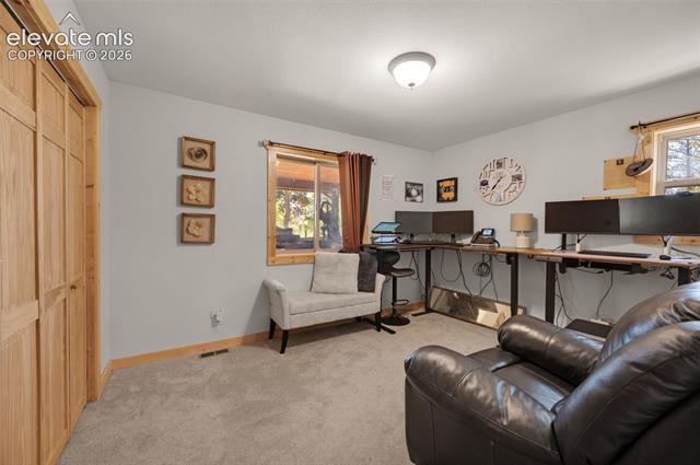 MLS Image for 897  Fossil Creek  ,Florissant, Colorado