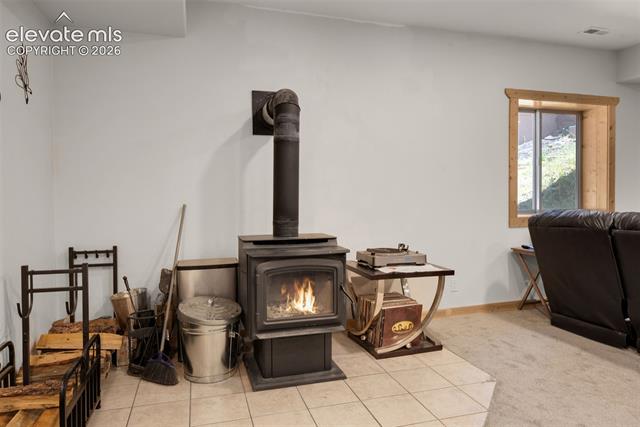 MLS Image for 897  Fossil Creek  ,Florissant, Colorado