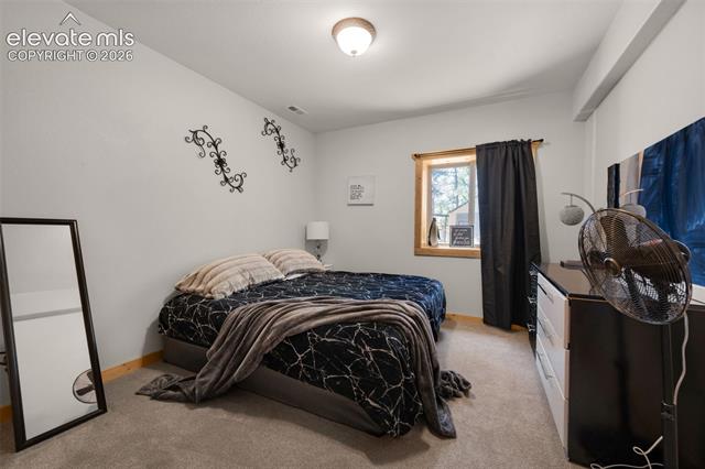 MLS Image for 897  Fossil Creek  ,Florissant, Colorado