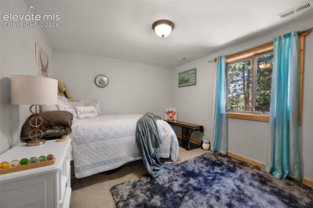 MLS Image for 897  Fossil Creek  ,Florissant, Colorado
