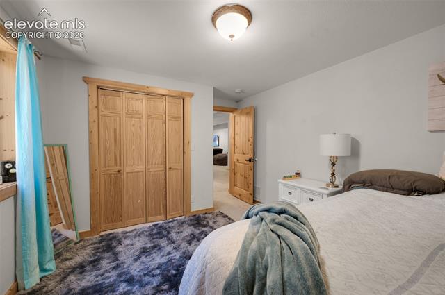 MLS Image for 897  Fossil Creek  ,Florissant, Colorado
