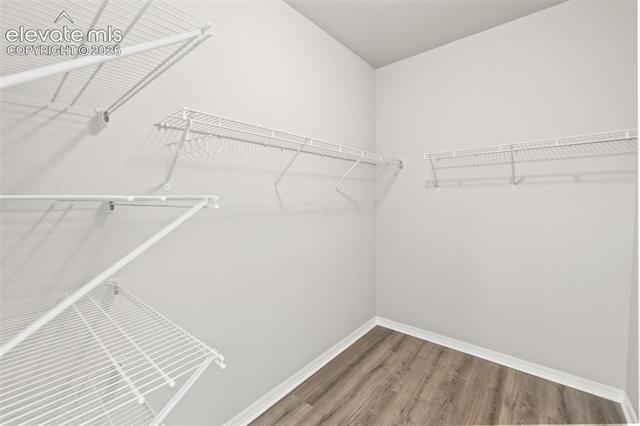 MLS Image for 4175  Samaritan  ,Colorado Springs, Colorado