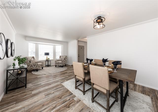 MLS Image for 508  Fox Run  ,Colorado Springs, Colorado