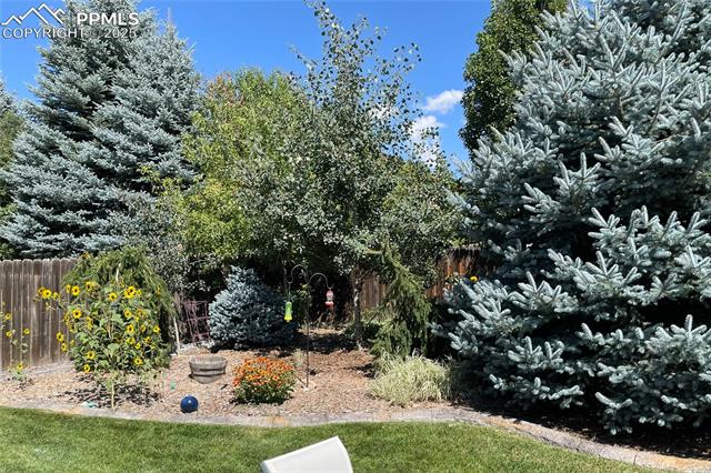 MLS Image for 7717  Amberly  ,Colorado Springs, Colorado