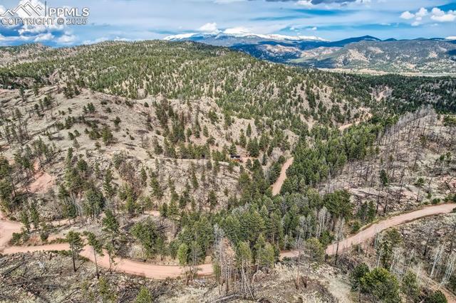 MLS Image for 1978  High Chateau  ,Florissant, Colorado