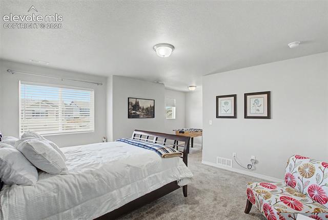 MLS Image for 10957  Avena  ,Peyton, Colorado