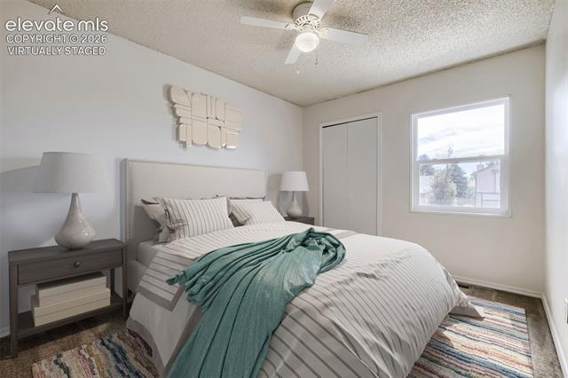 MLS Image for 8824  Kalmar  ,Colorado Springs, Colorado