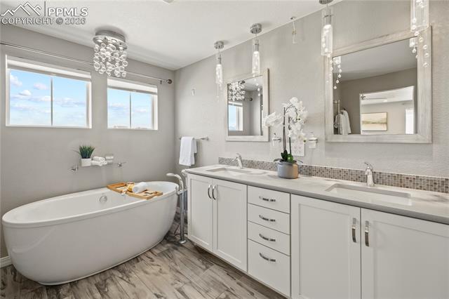 MLS Image for 8566  Crooked Branch  ,Colorado Springs, Colorado