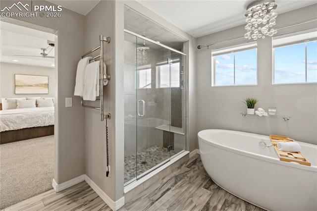 MLS Image for 8566  Crooked Branch  ,Colorado Springs, Colorado