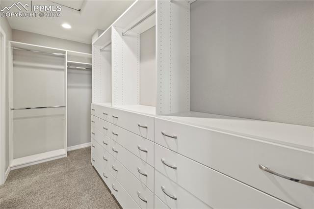 MLS Image for 8566  Crooked Branch  ,Colorado Springs, Colorado