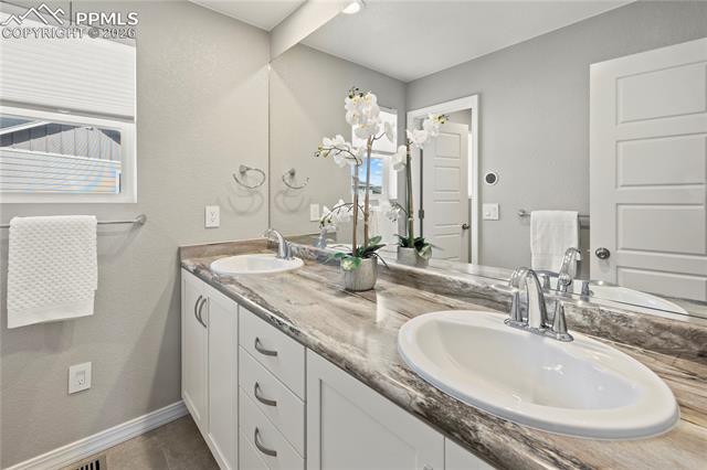 MLS Image for 8566  Crooked Branch  ,Colorado Springs, Colorado