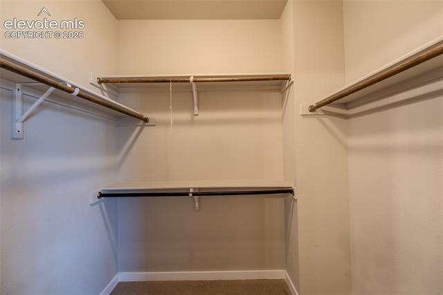 MLS Image for 7243  Rosa Belle  ,Colorado Springs, Colorado