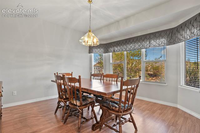MLS Image for 1355  Almagre Peak  ,Colorado Springs, Colorado