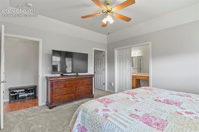 MLS Image for 1355  Almagre Peak  ,Colorado Springs, Colorado