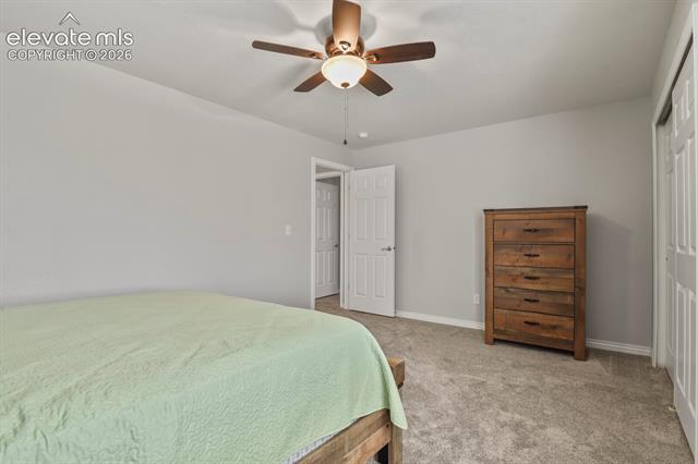 MLS Image for 1355  Almagre Peak  ,Colorado Springs, Colorado