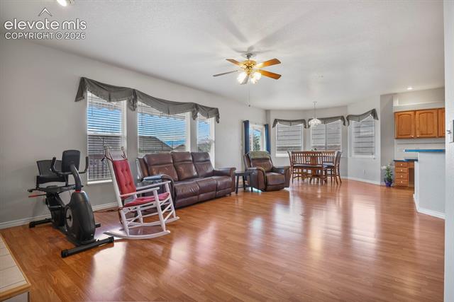 MLS Image for 1355  Almagre Peak  ,Colorado Springs, Colorado